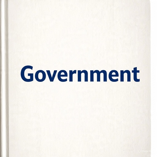 Definition of Government in different meaning