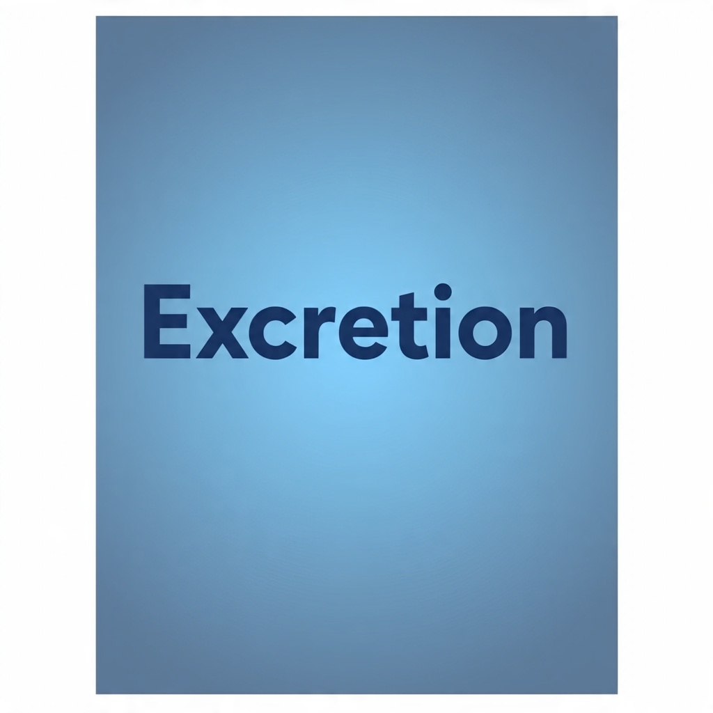 Excretion