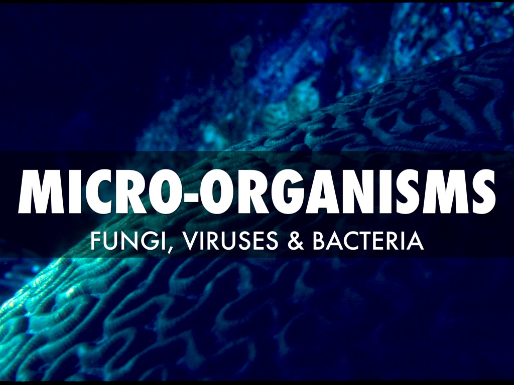 Micro-organisms Around Us