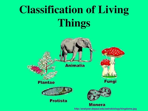Classification Of Living Things