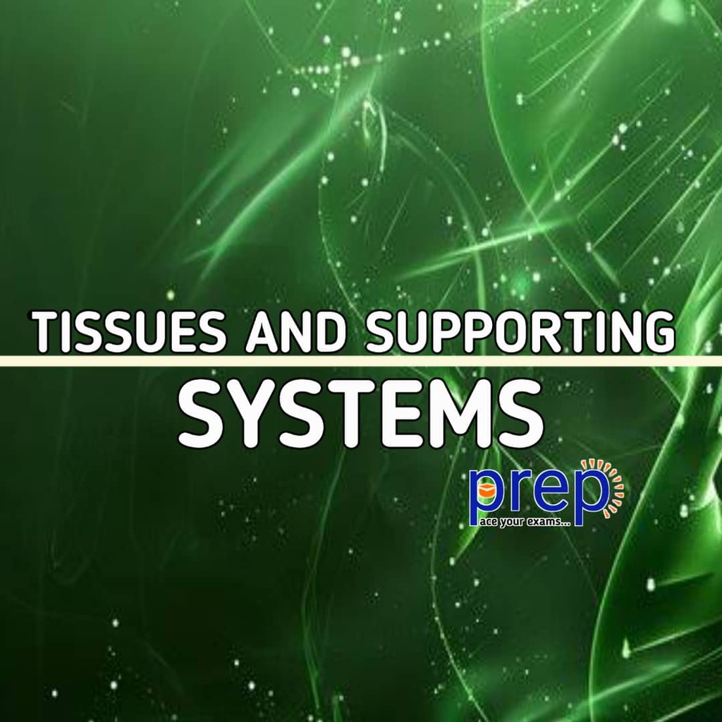 Tissues And Supporting System