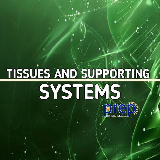 Tissues And Supporting System