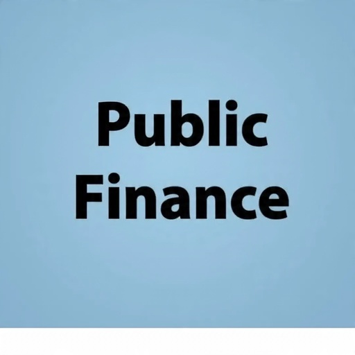 Public Finance