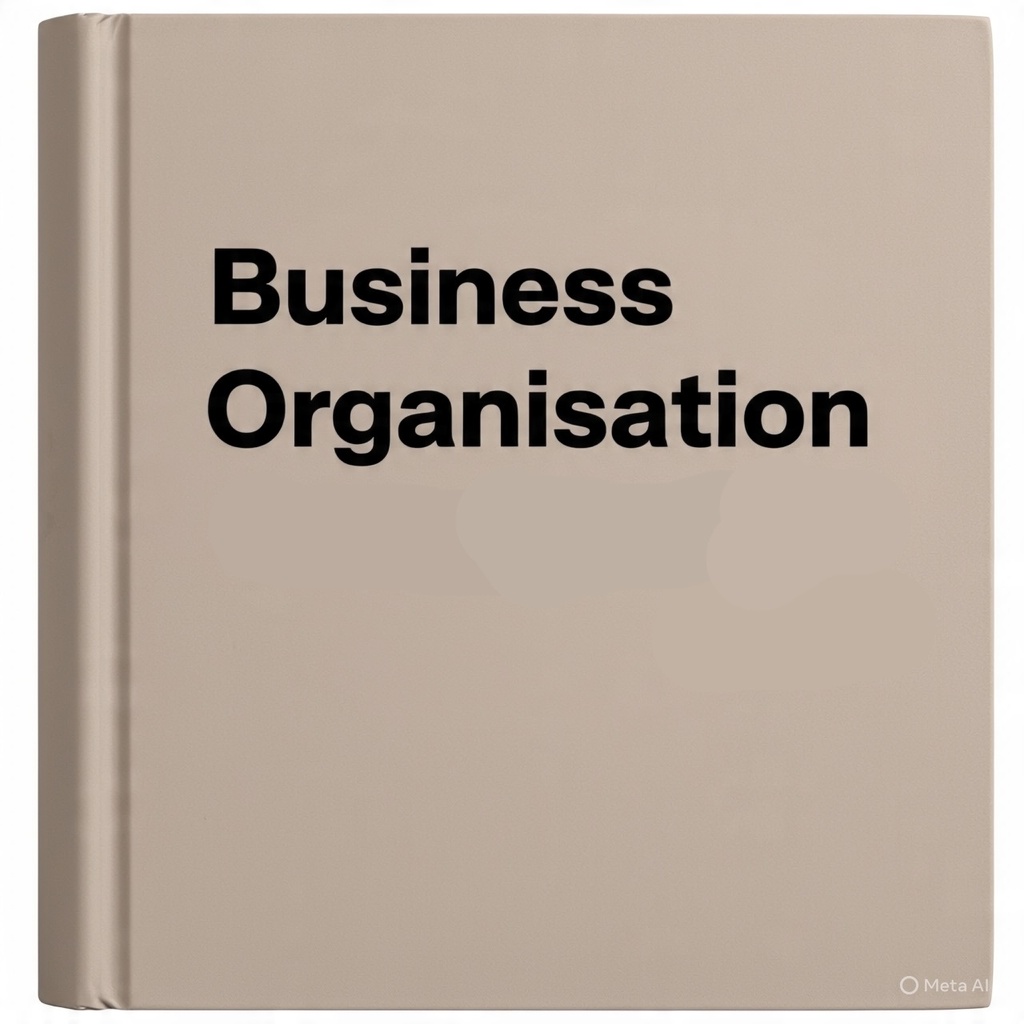 Business Organisation